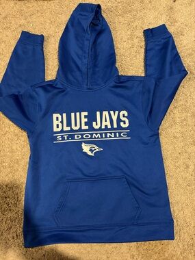 Sport-Tek Youth Pullover Hoodie in Royal Blue with White Logo